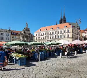 Dětská Nemocnice Brno