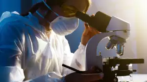 Pcr Test Chomutov