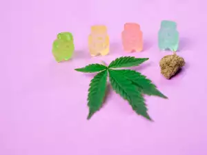 Dr Weed