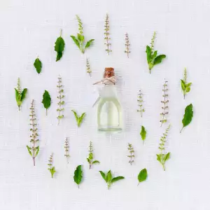 Vidia Diagnostika