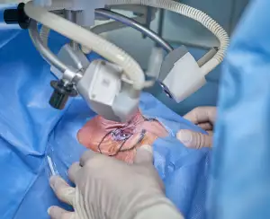 Otic Solution