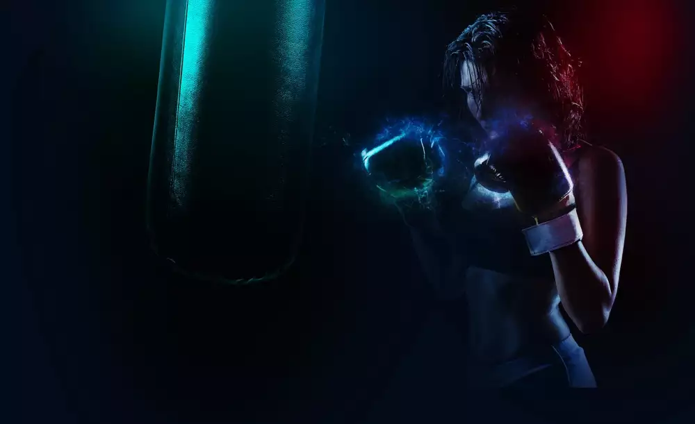 Německý Boxer