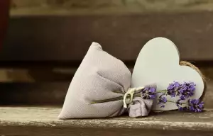 Puella Vůně