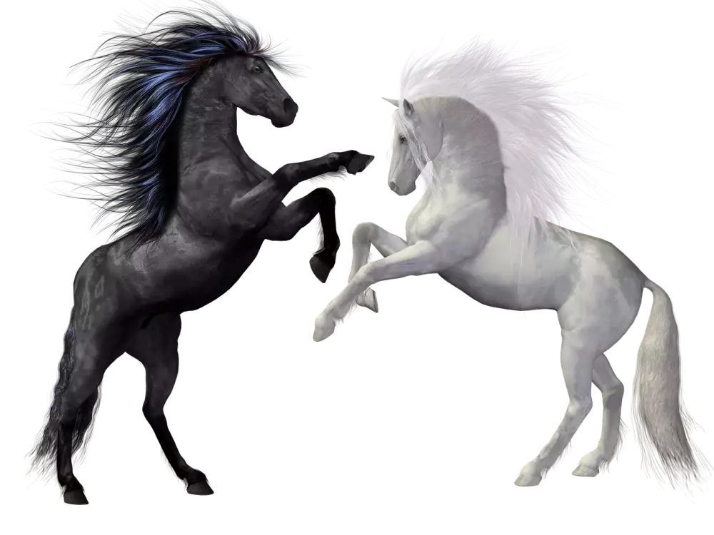 Plíseň Nehtů Zabijete Za 1 Týden Je To Snadné