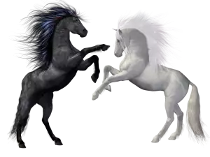 Plíseň Nehtů Zabijete Za 1 Týden Je To Snadné