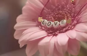 Cartier Náramek