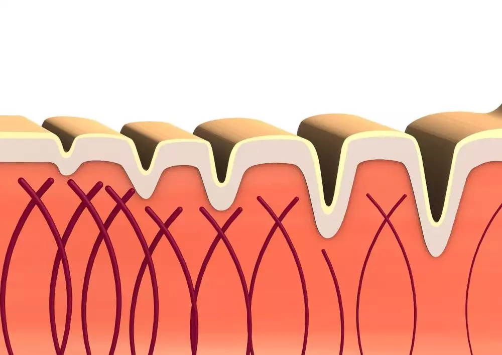 Collagen