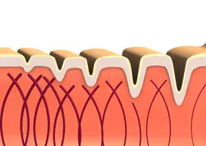 Collagen